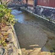 ヒメ日記 2026/01/17 13:01 投稿 こう いざ候 本館