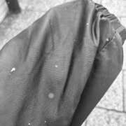 ヒメ日記 2026/01/25 12:40 投稿 こう いざ候 本館