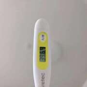 ヒメ日記 2026/02/01 12:57 投稿 こう いざ候 本館