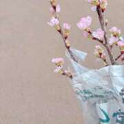 ヒメ日記 2026/02/07 12:41 投稿 こう いざ候 本館