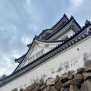 ヒメ日記 2026/02/19 00:04 投稿 こう いざ候 本館