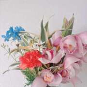 ヒメ日記 2026/02/20 14:47 投稿 こう いざ候 本館