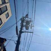 ヒメ日記 2026/03/24 14:17 投稿 こう いざ候 本館