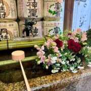 ヒメ日記 2026/03/27 14:48 投稿 こう いざ候 本館