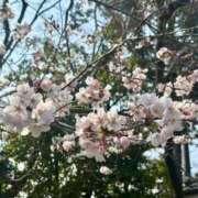 ヒメ日記 2026/03/29 12:52 投稿 こう いざ候 本館