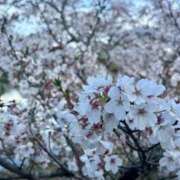 こう こんにちは🌸 いざ候 本館