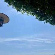 ヒメ日記 2026/05/02 12:39 投稿 こう いざ候 本館