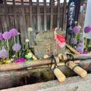 ヒメ日記 2026/05/23 12:57 投稿 こう いざ候 本館