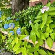 ヒメ日記 2026/05/31 12:57 投稿 こう いざ候 本館