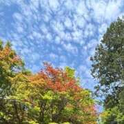 ヒメ日記 2026/06/20 14:07 投稿 こう いざ候 本館