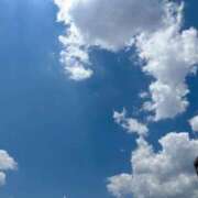 ヒメ日記 2026/07/25 12:57 投稿 こう Club label