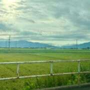 ヒメ日記 2026/08/18 18:47 投稿 こう Club label