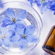 ヒメ日記 2025/05/08 10:46 投稿 麗華 HERMINE-エルミネ-