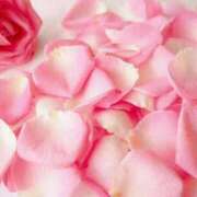 ヒメ日記 2025/05/22 11:35 投稿 麗華 HERMINE-エルミネ-