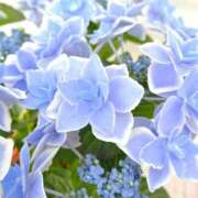 ヒメ日記 2025/06/23 18:42 投稿 麗華 HERMINE-エルミネ-