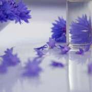 ヒメ日記 2025/09/09 17:45 投稿 麗華 HERMINE-エルミネ-