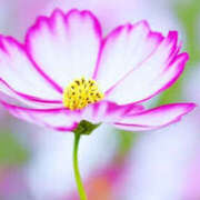 ヒメ日記 2025/10/30 12:32 投稿 麗華 HERMINE-エルミネ-