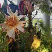 ヒメ日記 2026/01/04 12:28 投稿 麗華 HERMINE-エルミネ-