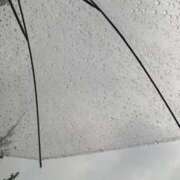 ヒメ日記 2025/05/30 19:54 投稿 ふみな 横浜人妻ヒットパレード（シンデレラグループ）