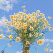 ヒメ日記 2025/08/16 17:32 投稿 ふみな 横浜人妻ヒットパレード（シンデレラグループ）