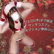 ヒメ日記 2025/12/16 12:03 投稿 あんず フロンティア