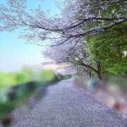 ヒメ日記 2025/04/15 19:30 投稿 さとみ 至福の密着エステ&禁断のM性感 Luxeaz