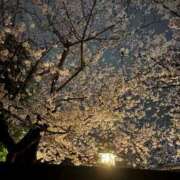 ヒメ日記 2025/04/05 22:03 投稿 あぽ デリヘルラボ・クレージュ