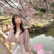 ヒメ日記 2026/03/28 09:17 投稿 米倉 あなたに逢いたくて