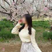 ヒメ日記 2026/04/15 12:47 投稿 米倉 あなたに逢いたくて