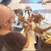 ヒメ日記 2025/05/03 18:53 投稿 えりか 高級エステ セラピスト