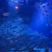 ヒメ日記 2025/10/07 20:00 投稿 ゆりな ミセス ファースト -お姉さん・若妻専門店-