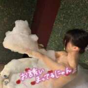 ヒメ日記 2026/05/16 08:00 投稿 ゆりな ミセス ファースト -お姉さん・若妻専門店-