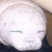 ヒメ日記 2025/05/24 01:55 投稿 まう ファッションヘルス カリスマ