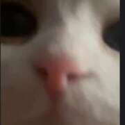 ヒメ日記 2025/06/12 14:05 投稿 まう ファッションヘルス カリスマ