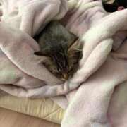 まう 明後日から出勤します✨ ファッションヘルス カリスマ