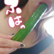 ヒメ日記 2025/04/14 19:18 投稿 しのぶ 池袋人妻城