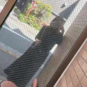 ヒメ日記 2025/04/27 10:19 投稿 しのぶ 池袋人妻城