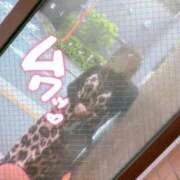 ヒメ日記 2025/05/05 16:33 投稿 しのぶ 池袋人妻城