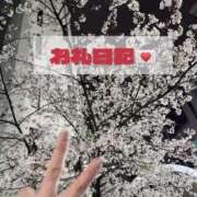 ヒメ日記 2025/06/09 12:36 投稿 しのぶ 池袋人妻城