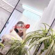 ヒメ日記 2025/06/24 14:33 投稿 しのぶ 池袋人妻城