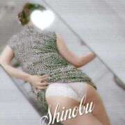 ヒメ日記 2025/07/05 10:36 投稿 しのぶ 池袋人妻城