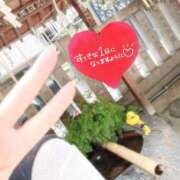 ヒメ日記 2025/07/09 10:40 投稿 しのぶ 池袋人妻城