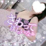 ヒメ日記 2025/07/13 16:06 投稿 しのぶ 池袋人妻城