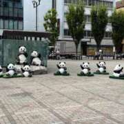 ヒメ日記 2025/08/13 10:24 投稿 しのぶ 池袋人妻城