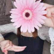 ヒメ日記 2025/09/23 18:13 投稿 しのぶ 池袋人妻城