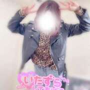 ヒメ日記 2025/10/29 10:49 投稿 しのぶ 池袋人妻城