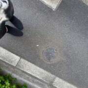 ヒメ日記 2025/11/17 09:33 投稿 しのぶ 池袋人妻城