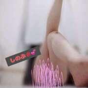 ヒメ日記 2025/11/18 21:03 投稿 しのぶ 池袋人妻城