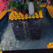 ヒメ日記 2025/11/25 17:03 投稿 しのぶ 池袋人妻城