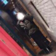 ヒメ日記 2026/03/01 10:12 投稿 しのぶ 池袋人妻城